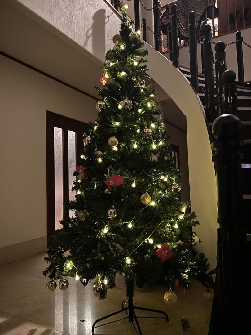 クリスマスツリー 北欧 大きい おしゃれ 樅 組立簡単 クリスマス 玄関